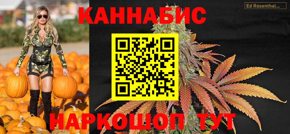 Карасук  Бошки Шишки гибрид  Вход с VPN  Каннабис индика 